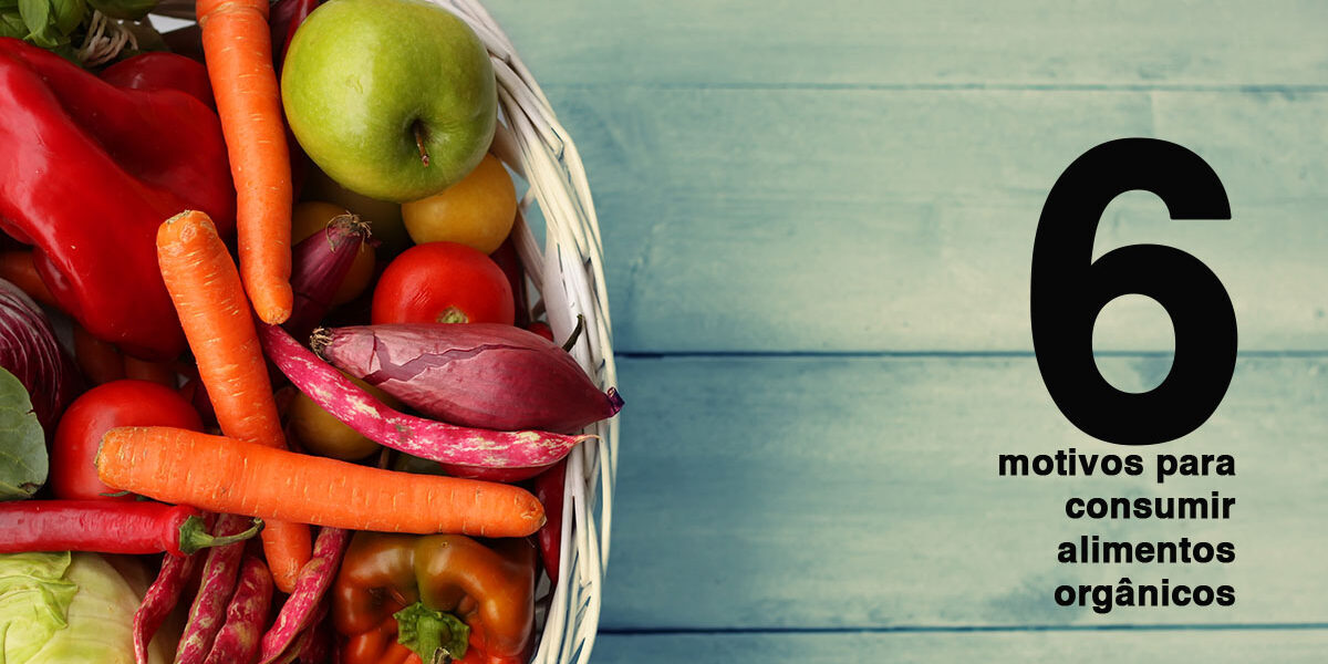 alimentos orgânicos